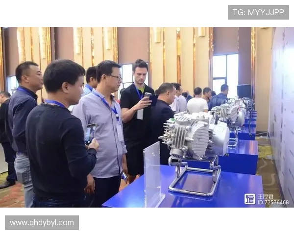 武汉攀岩队全新战略布局与整体压制革新探讨