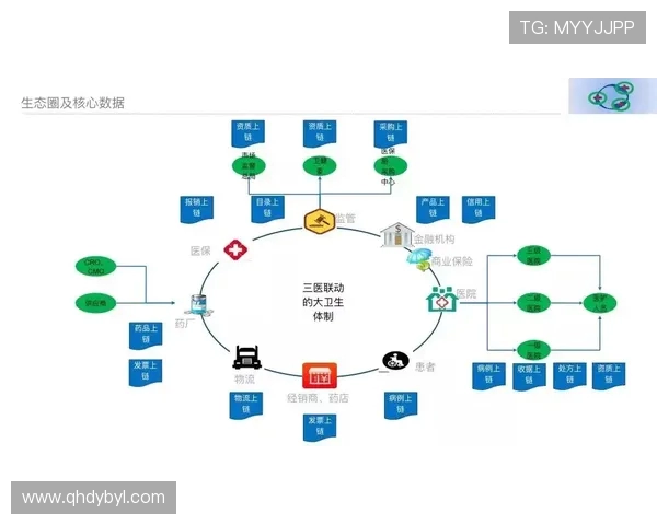 职业联赛分析：IG战术布局与团队协作的深度探讨