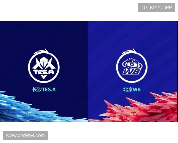 北京WB全新赛季阵容解析与未来发展方向深度解读