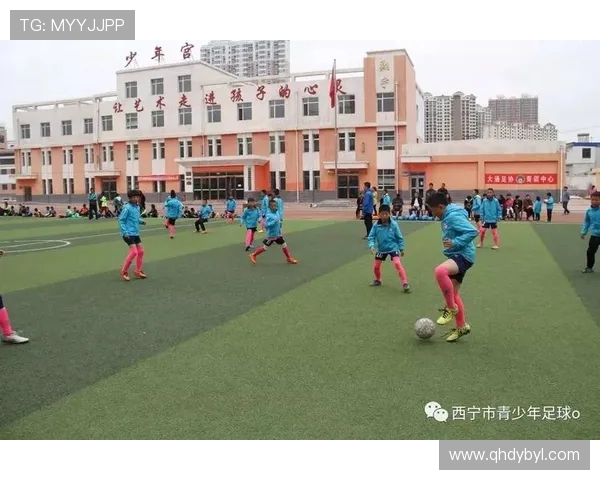 探索网球运动魅力从规则技巧到竞技精神全面解读绿色球场激情文化传承